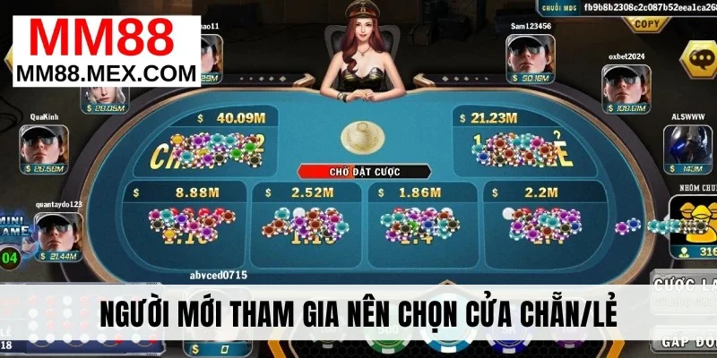 Người mới tham gia nên chọn cửa chẵn/lẻ 